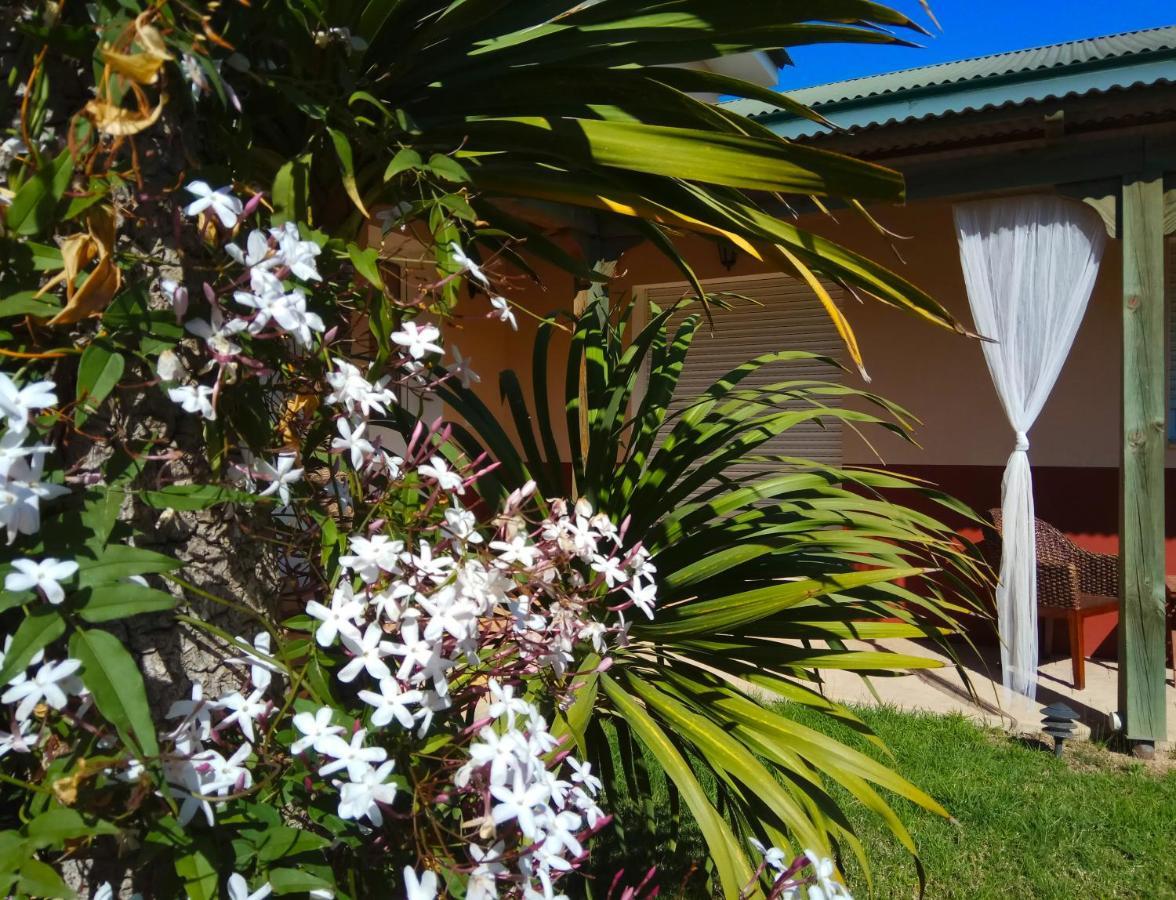 Casablanca El Petit Hotel Deltebre Exteriör bild